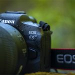 Canon EOS R5 دوربین شگفت‌انگیز کانن برای عکاسی حیات وحش است