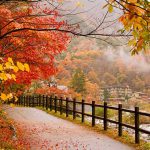 ۱۲ نکته برای گرفتن عکس‌های زیباتر در پاییز